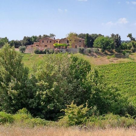 Podere Sole Trequanda Esterno foto