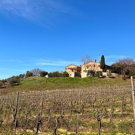 Podere Sole Trequanda Esterno foto