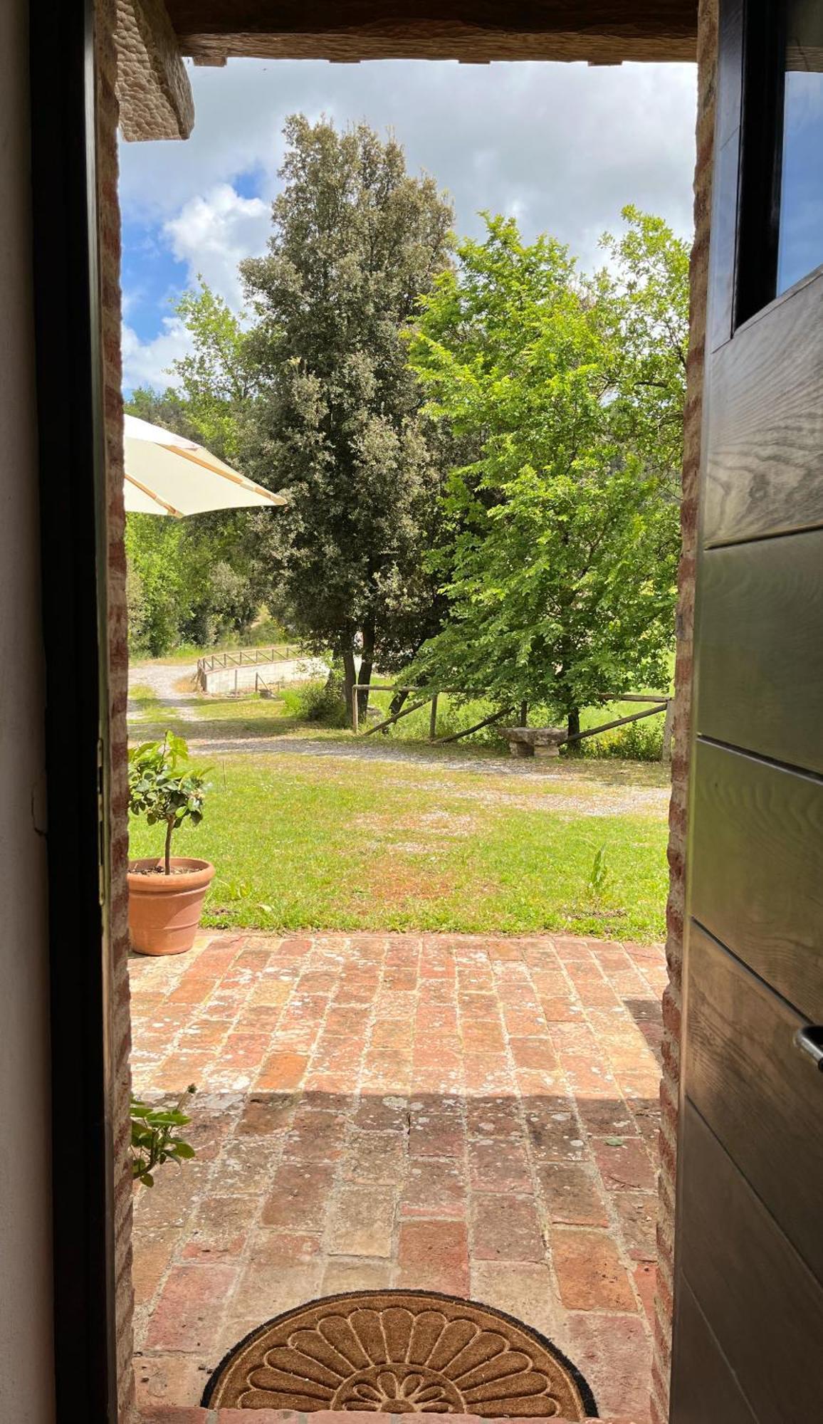 Podere Sole Trequanda Esterno foto