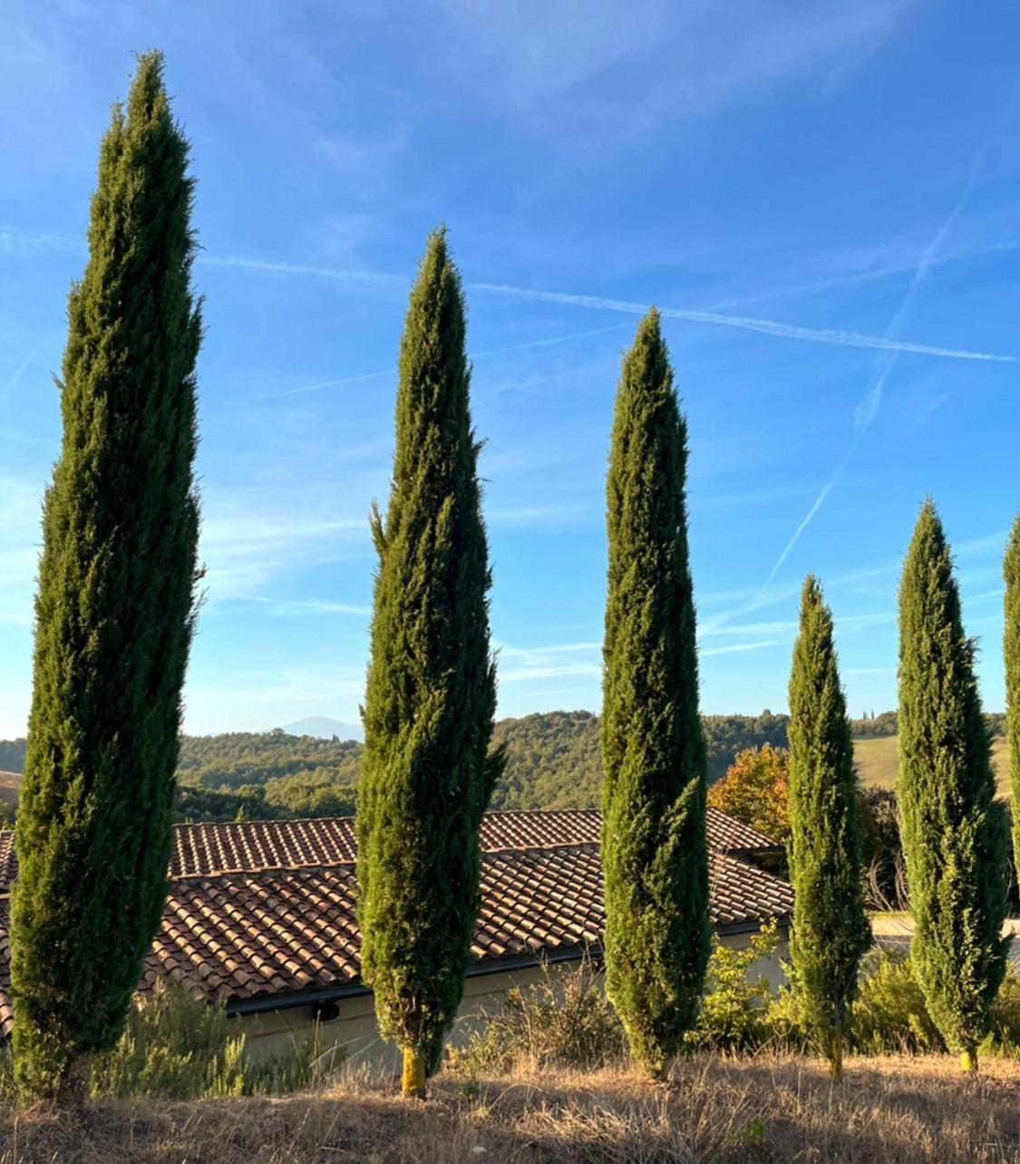 Podere Sole Trequanda Esterno foto