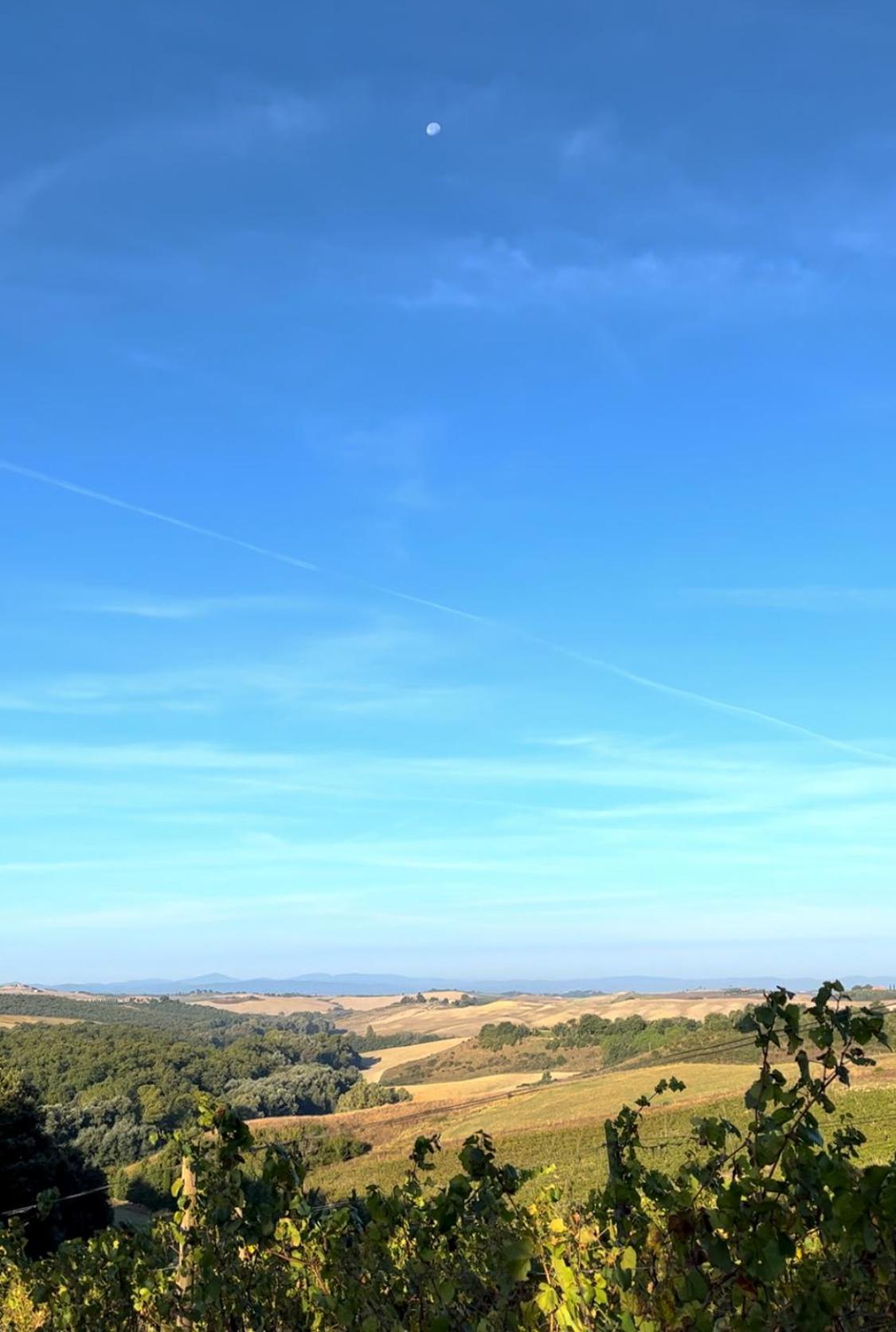 Podere Sole Trequanda Esterno foto