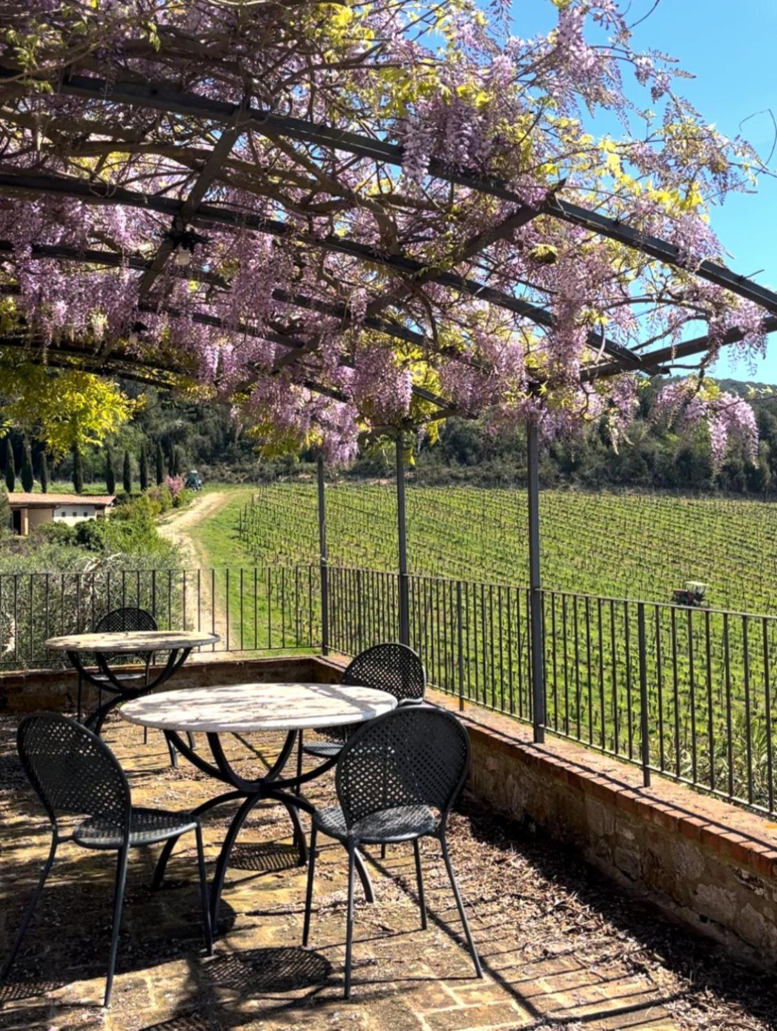 Podere Sole Trequanda Esterno foto