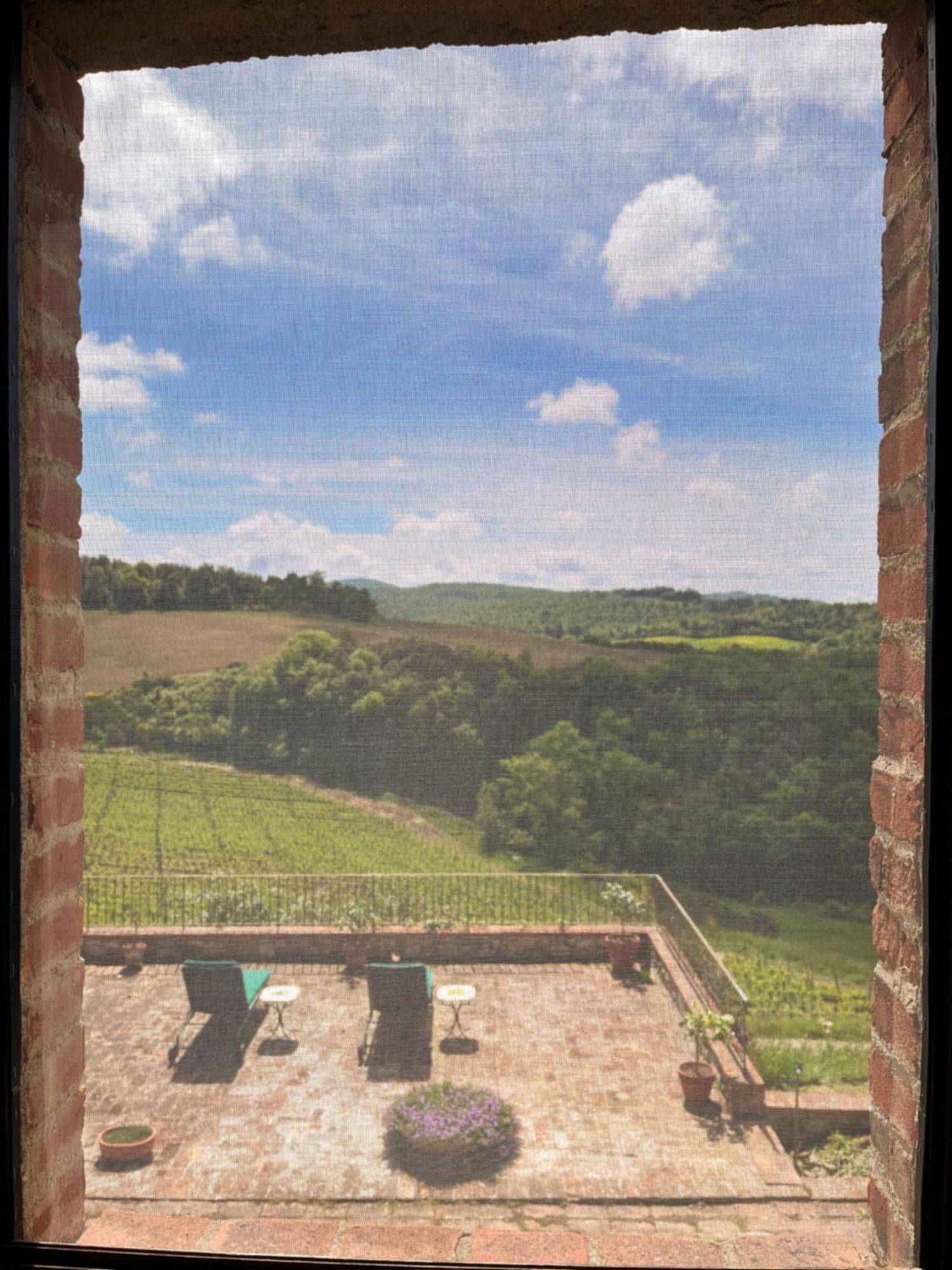 Podere Sole Trequanda Esterno foto