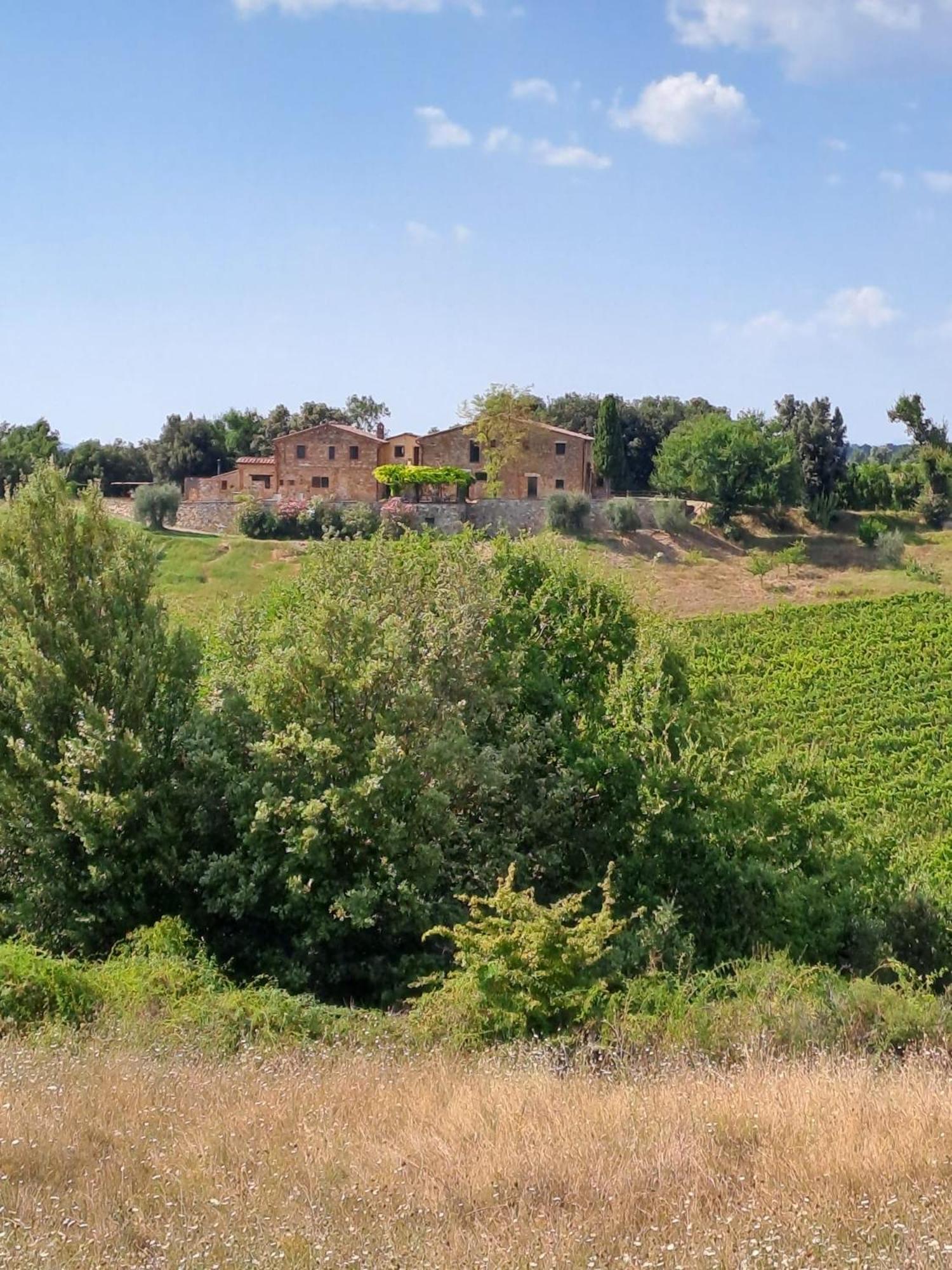 Podere Sole Trequanda Esterno foto