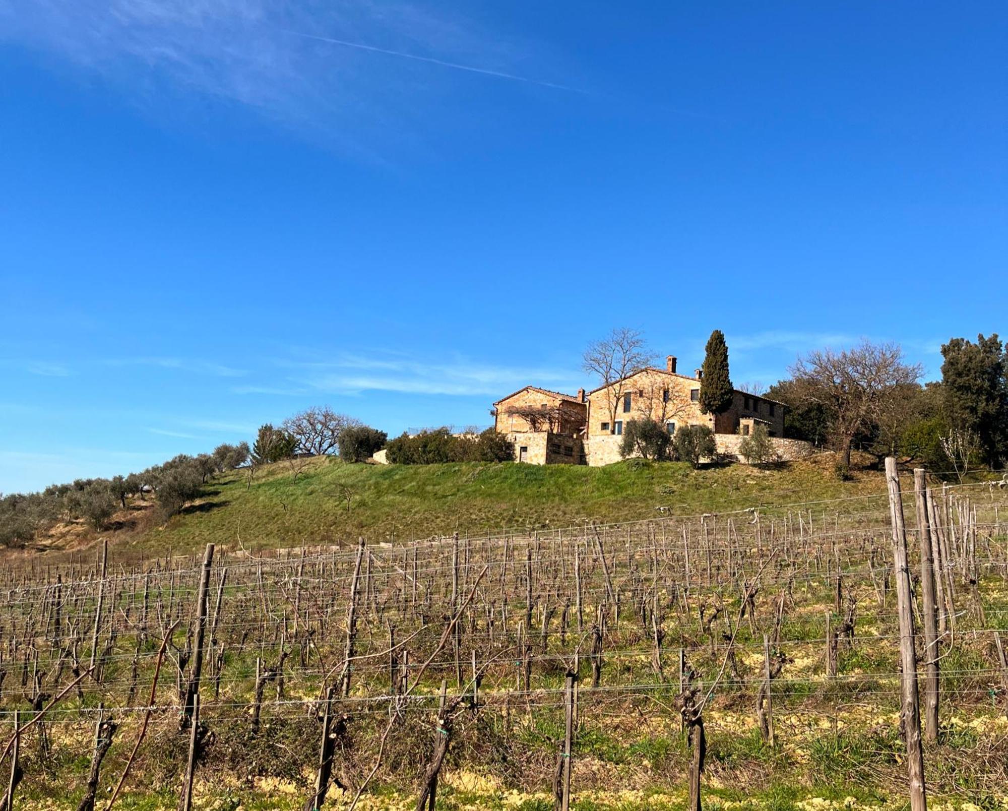 Podere Sole Trequanda Esterno foto