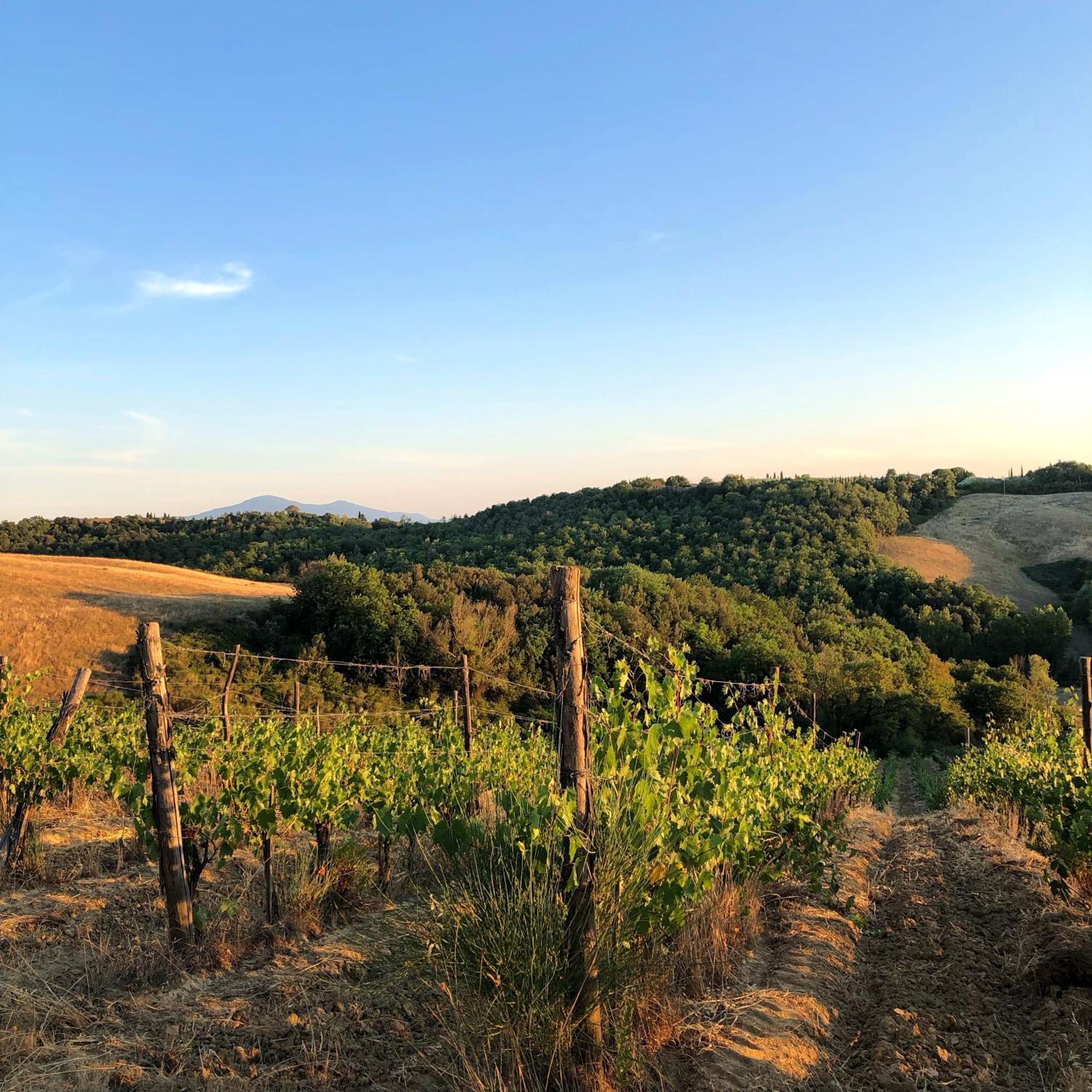 Podere Sole Trequanda Esterno foto